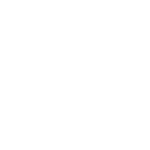 Equipe Especializada